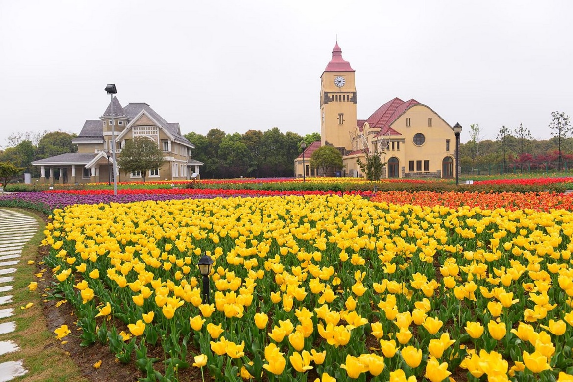 Saints Flower Village